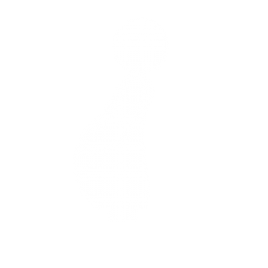 maternidad-subrogada